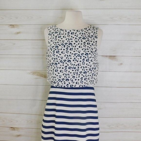 Anthropologie Blue and White Patterned Dress - Picture 4 of 14